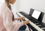 Image by <a href="https://www.freepik.com/free-photo/young-girl-playing-keyboard-instrument_11378453.htm#query=%D0%BC%D1%83%D0%B7%D1%8B%D0%BA%D0%B0%D0%BB%D1%8C%D0%BD%D0%BE%D0%B5%20%D0%BE%D1%82%D0%B4%D0%B5%D0%BB%D0%B5%D0%BD%D0%B8%D0%B5&position=34&from_view=search&track=ais&uuid=f7795719-0479-40e6-b251-9bc0b589df93">Freepik</a>