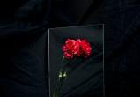 <a href="https://www.freepik.com/free-photo/red-carnation-flower-reflecting-glass-black-background_4929598.htm#fromView=search&page=1&position=40&uuid=6543e00a-e583-4257-9feb-3784ba6aea79">Image by freepik</a>