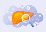 <a href="https://www.freepik.com/free-vector/gradient-fatty-liver-illustration_23160083.htm#fromView=search&page=1&position=2&uuid=771c61b5-cf65-4bb5-a05e-646b8a6863ef">Image by freepik</a>