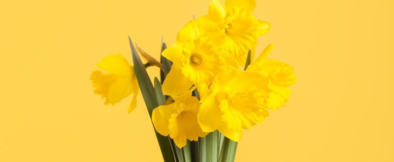 https://img.freepik.com/free-photo/hand-with-flowers-bouquet_23-2148490383.jpg?t=st=1746039779~exp=1746043379~hmac=30b79b88d9ee4c7e3ab0a5d0ab64015dc8d41378e9a637c10cab331a256f684b&w=360 Ясненцы, с Первомаем!