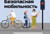 Фото: ОГИБДД МО МВД России по ЗАТО Комаровский