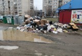 Что же происходит с мусором в Ясном?