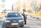 В Светлинском районе сотрудники Госавтоинспекции провели акцию с водителями транспортных средств 