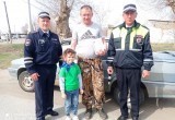 Акция "Помни водитель, ты же родитель!" в п. Светлый