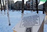 Проект  «Жильё и городская среда» и первый городской парк в Ясном