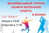 В Ясном состоится волейбольный турнир памяти ветеранов спорта среди мужских команд!